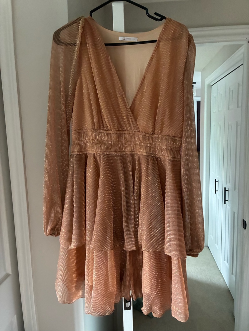 Women’s Shimmery Beige V-Neck Long Sleeve Dress